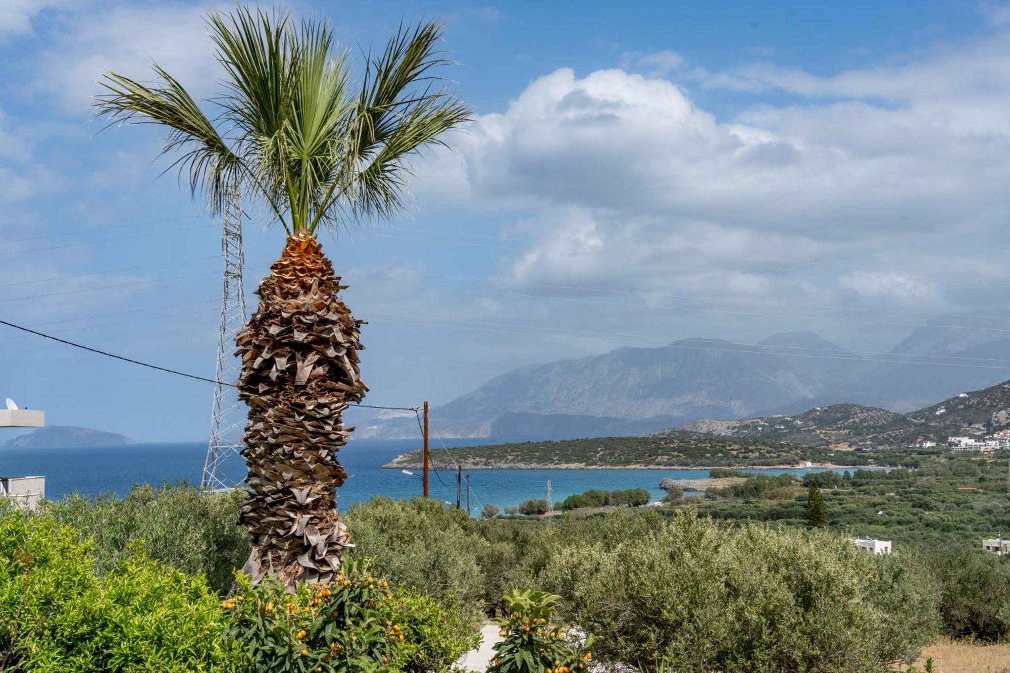 Athina Villas Истро Экстерьер фото
